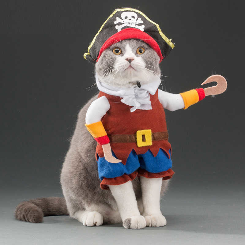 Fun little costumes ideal for cats