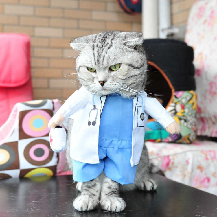 Fun little costumes ideal for cats