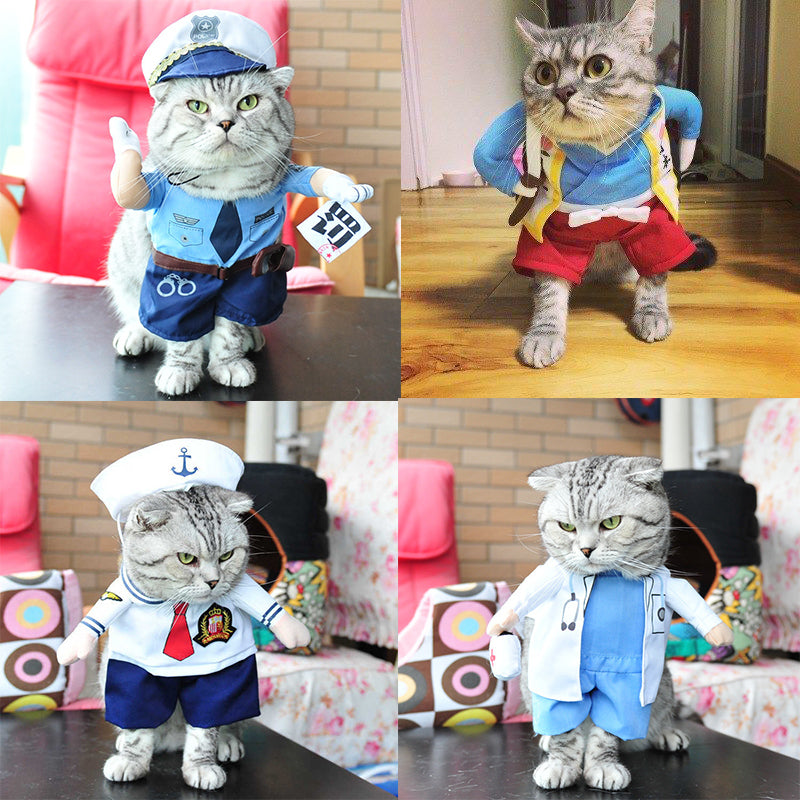 Fun little costumes ideal for cats