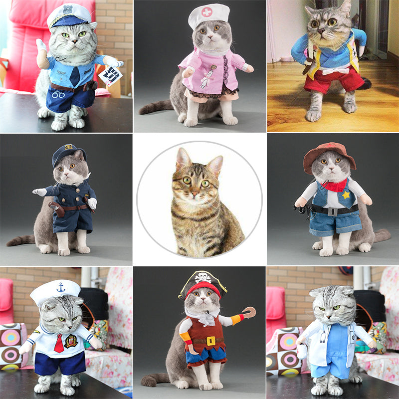 Fun little costumes ideal for cats