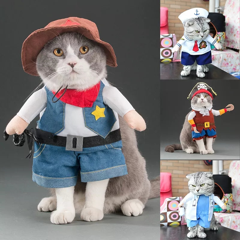 Fun little costumes ideal for cats