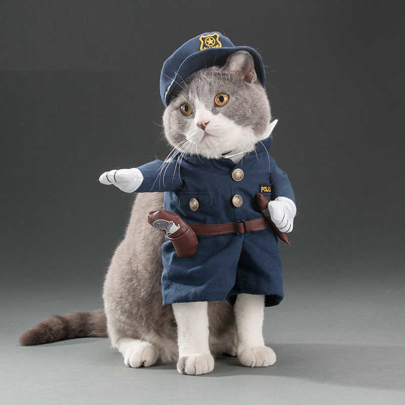 Fun little costumes ideal for cats