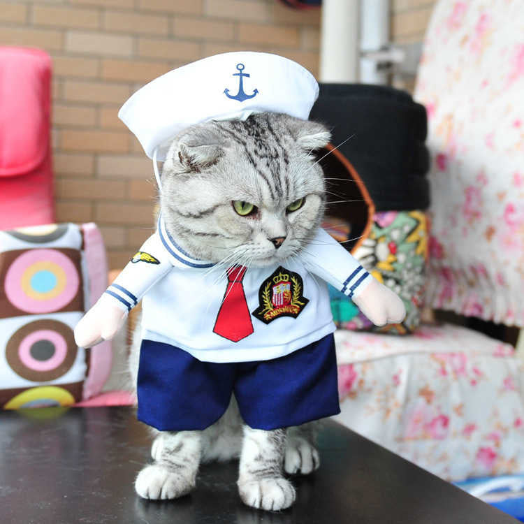 Fun little costumes ideal for cats