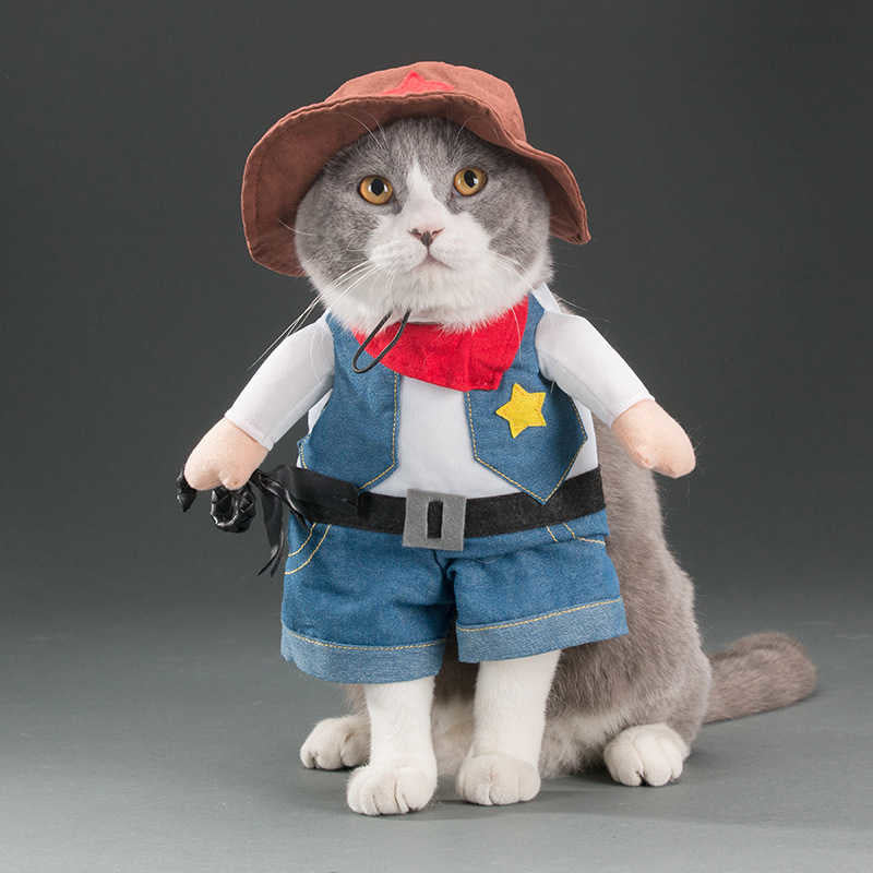 Fun little costumes ideal for cats