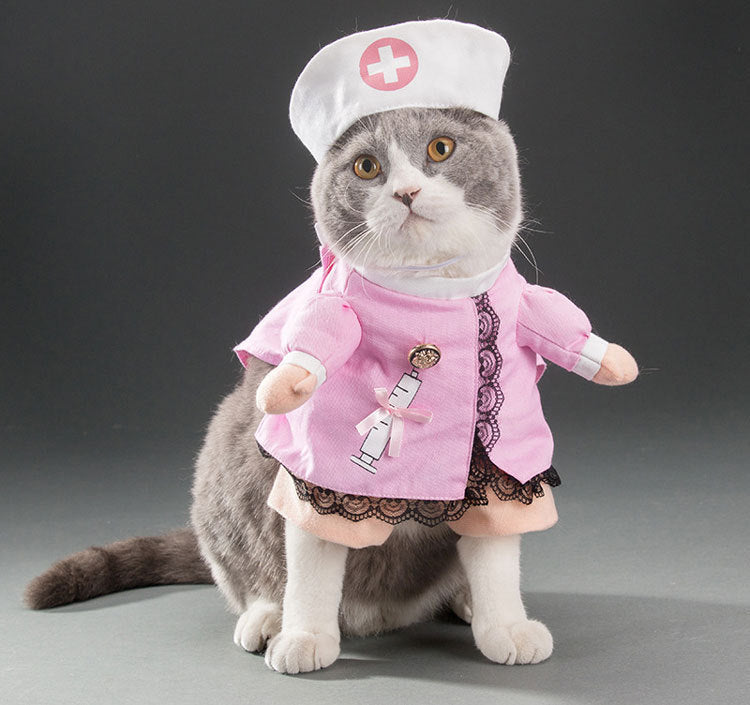 Fun little costumes ideal for cats